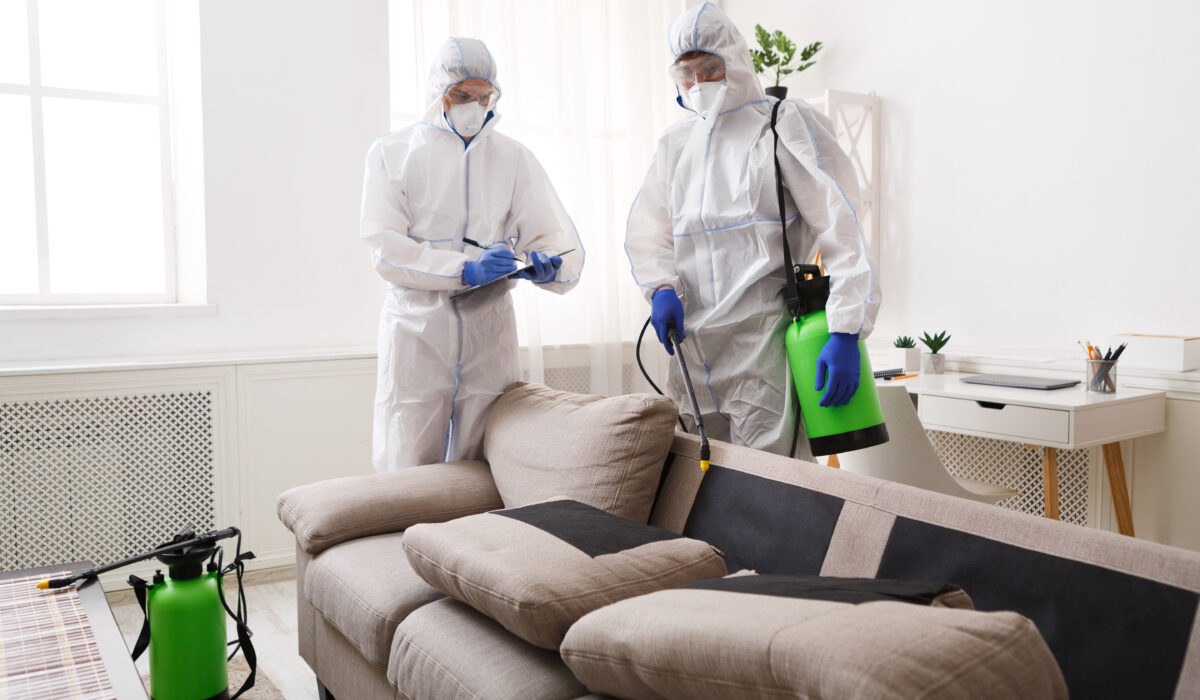Home,Disinfection,By,Cleaning,Service,,Surface,Treatment,From,Coronavirus,,Steam